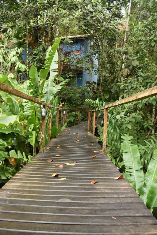  Social Hostel Trindade