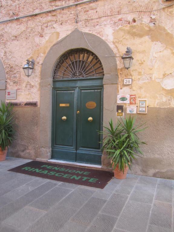 a green door in a stone building with two plants at Pensione Rinascente in Pisa
