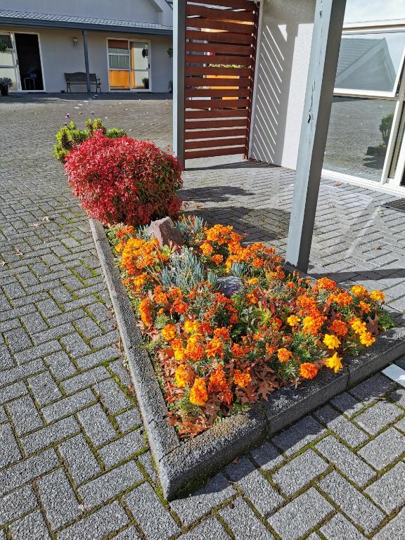 Capri on Fenton - Resim 26