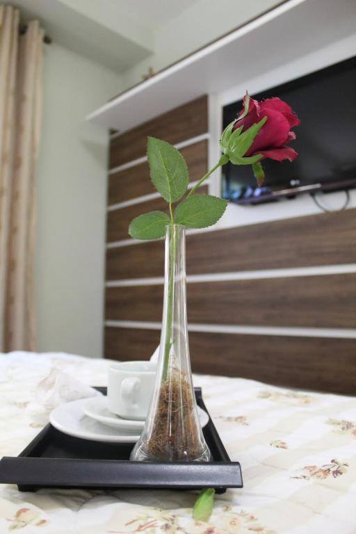 Rosa Apartamento Araucárias 203  Rosa Apartamento Araucárias 203