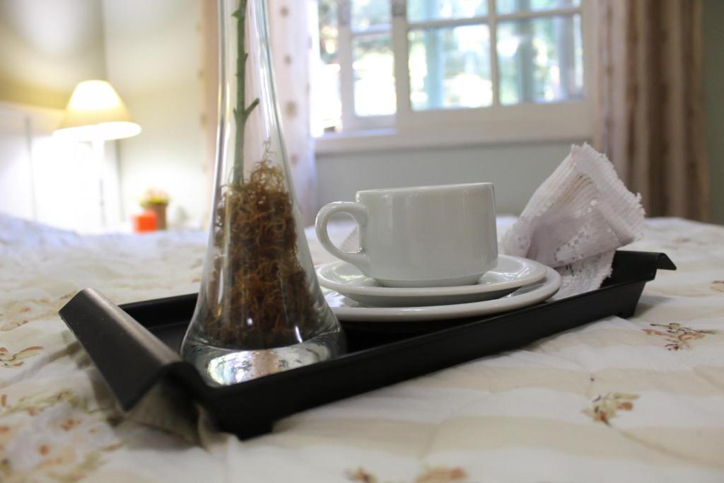 Rosa Apartamento Araucárias 203  Rosa Apartamento Araucárias 203