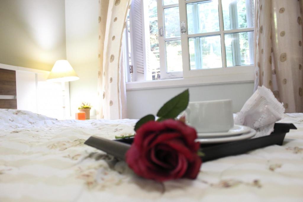 Rosa Apartamento Araucárias 203  Rosa Apartamento Araucárias 203