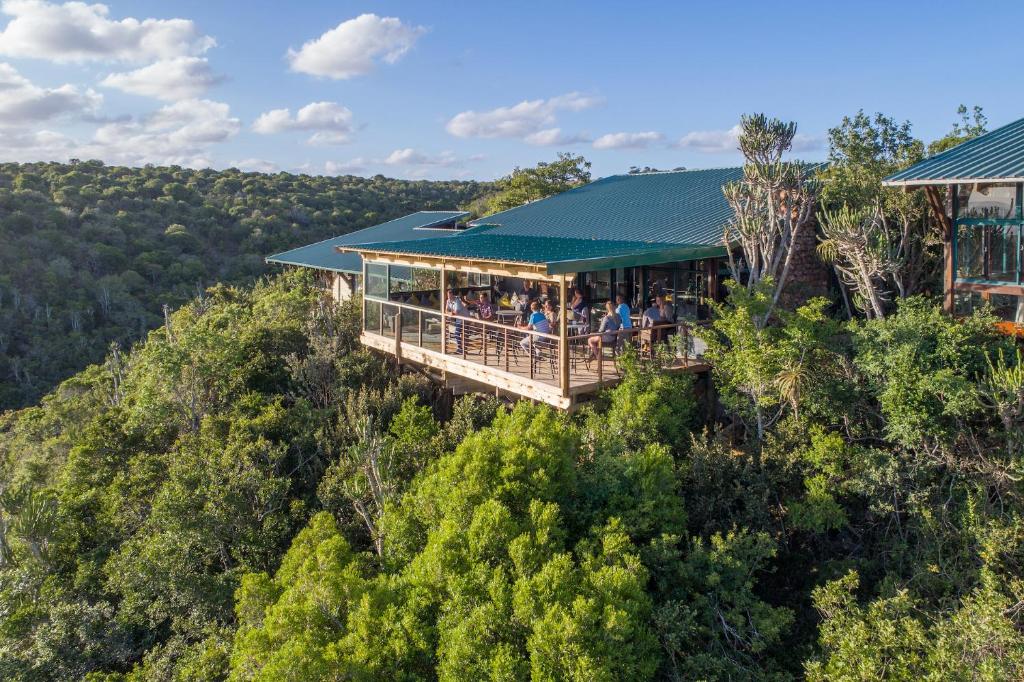 海濱肯頓的住宿－Kariega Game Reserve Main Lodge，一群人坐在树上的房子的甲板上