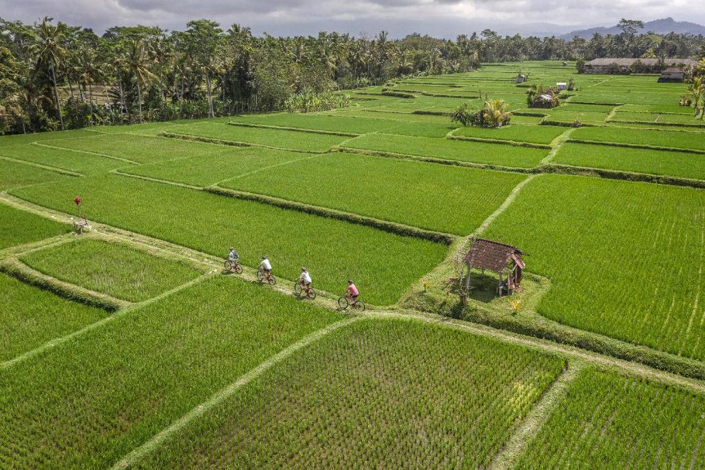 a group of people riding bikes on a green field at Four Seasons Resort Bali at Sayan in Ubud