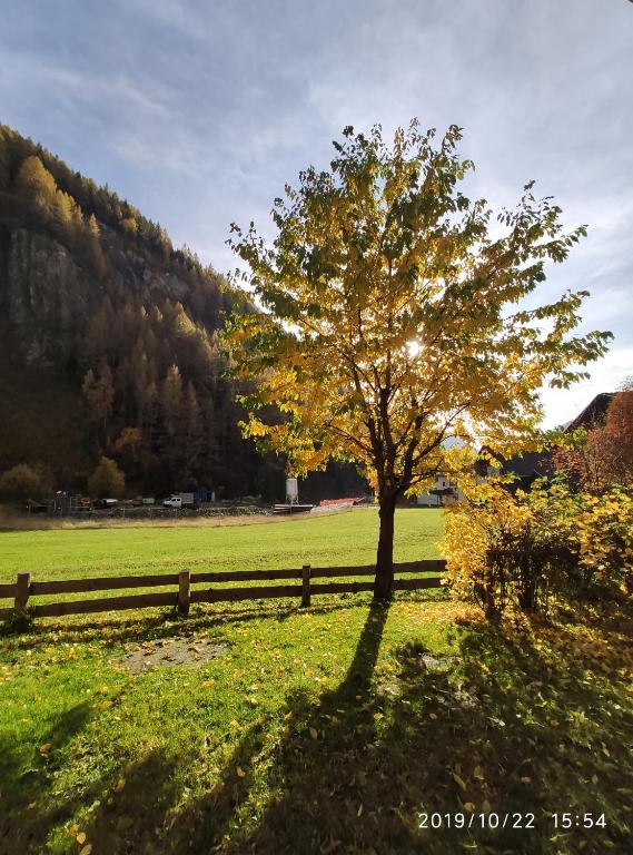 Príroda v okolí apartmánu