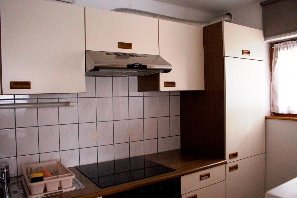 Kuchyň nebo kuchyňský kout v ubytování Apartman TIM
