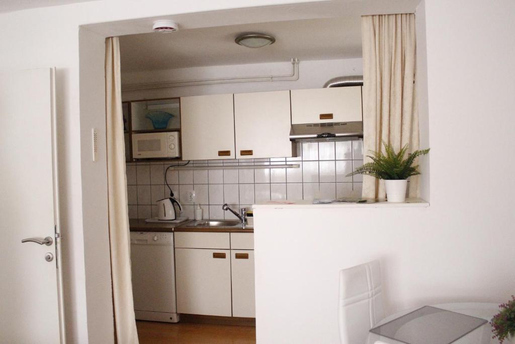 Kuchyň nebo kuchyňský kout v ubytování Apartman TIM