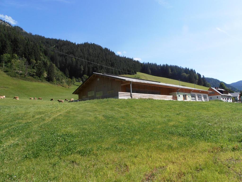 a group of animals standing in a field next to a building at Huberbauer in Johnsbach