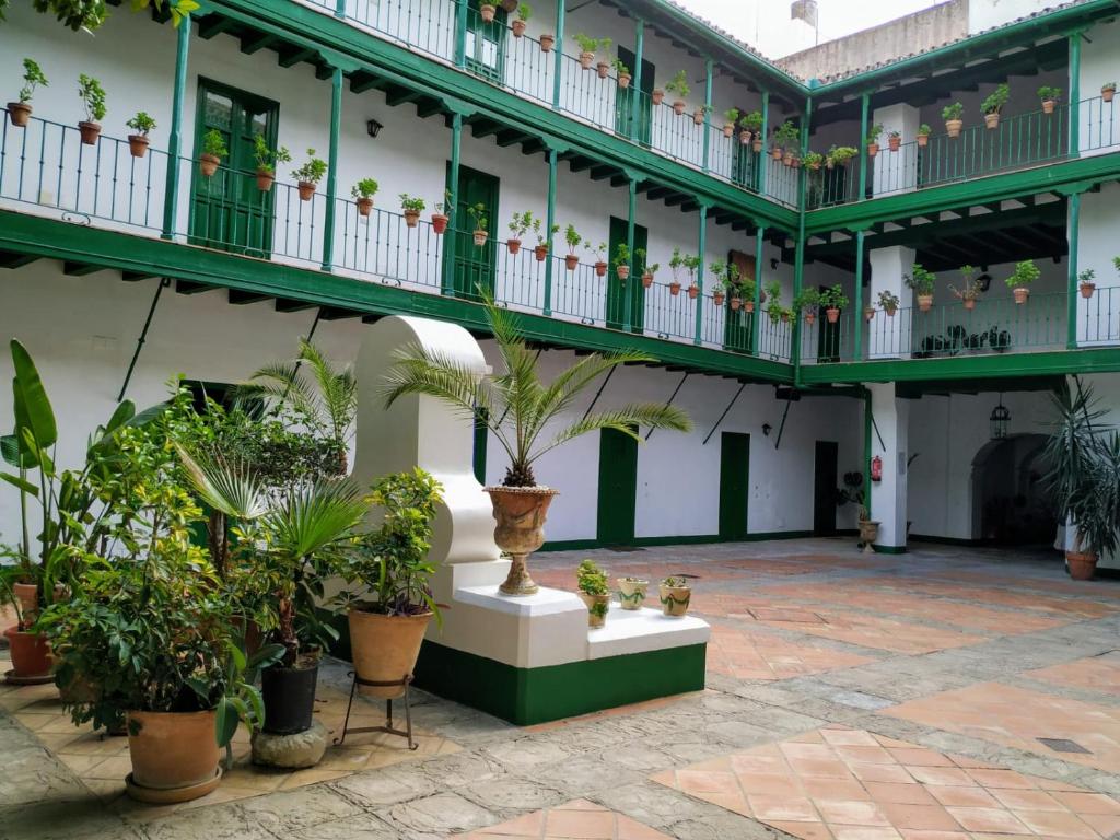 un patio en un edificio con macetas en La Puerta Verde, en Sevilla