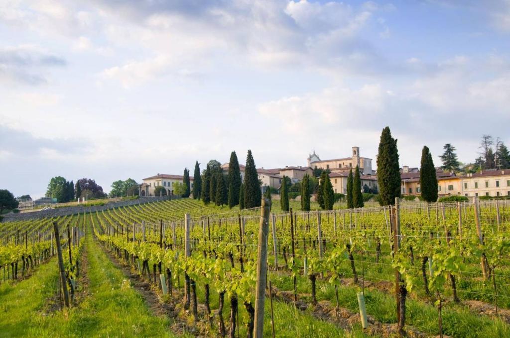 Zahrada ubytování B&B Camignone Franciacorta