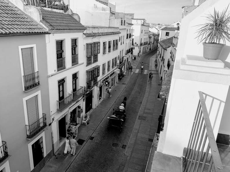 Afbeelding uit fotogalerij van Casa Ribera Lucano Centro Historico in Córdoba