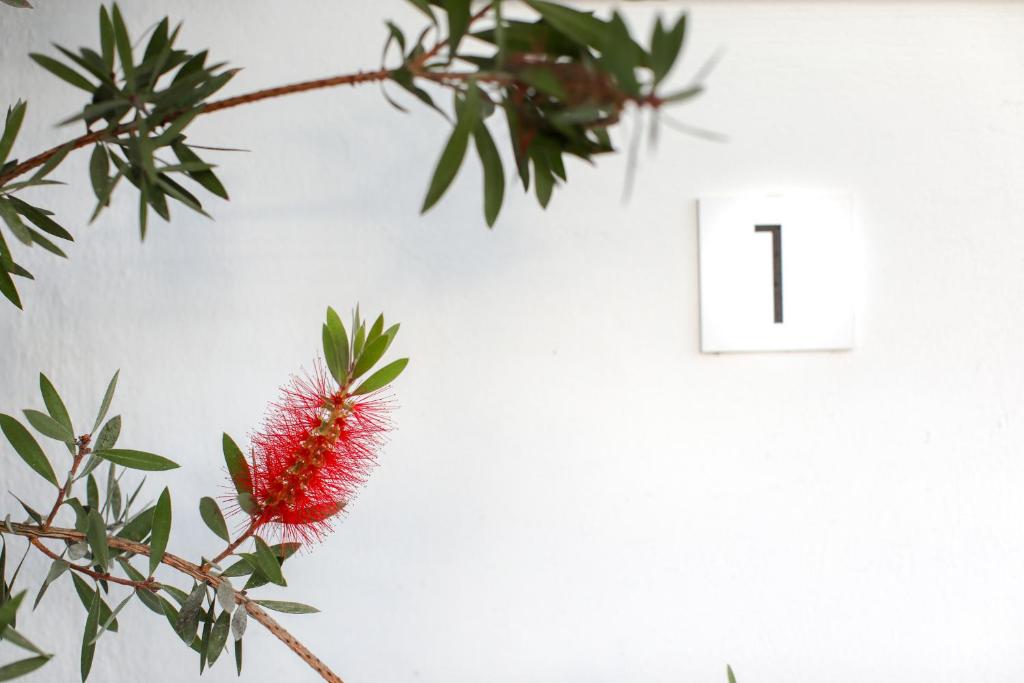 The Cliff Reflections - Adults Only - 12