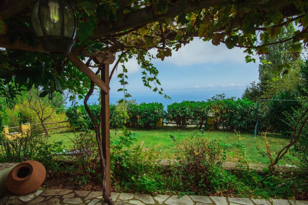 Zahrada ubytování Ellis Full Guest House