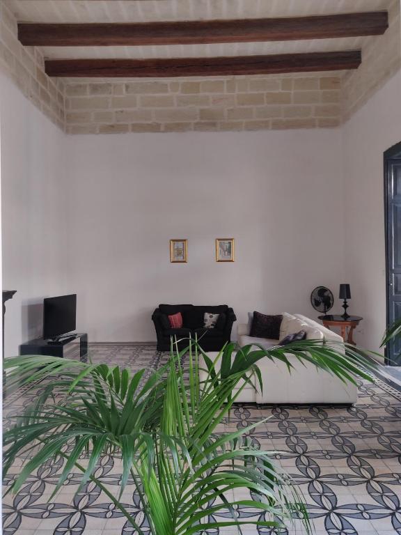 Grand House of Character Valletta - Villa De Lujo