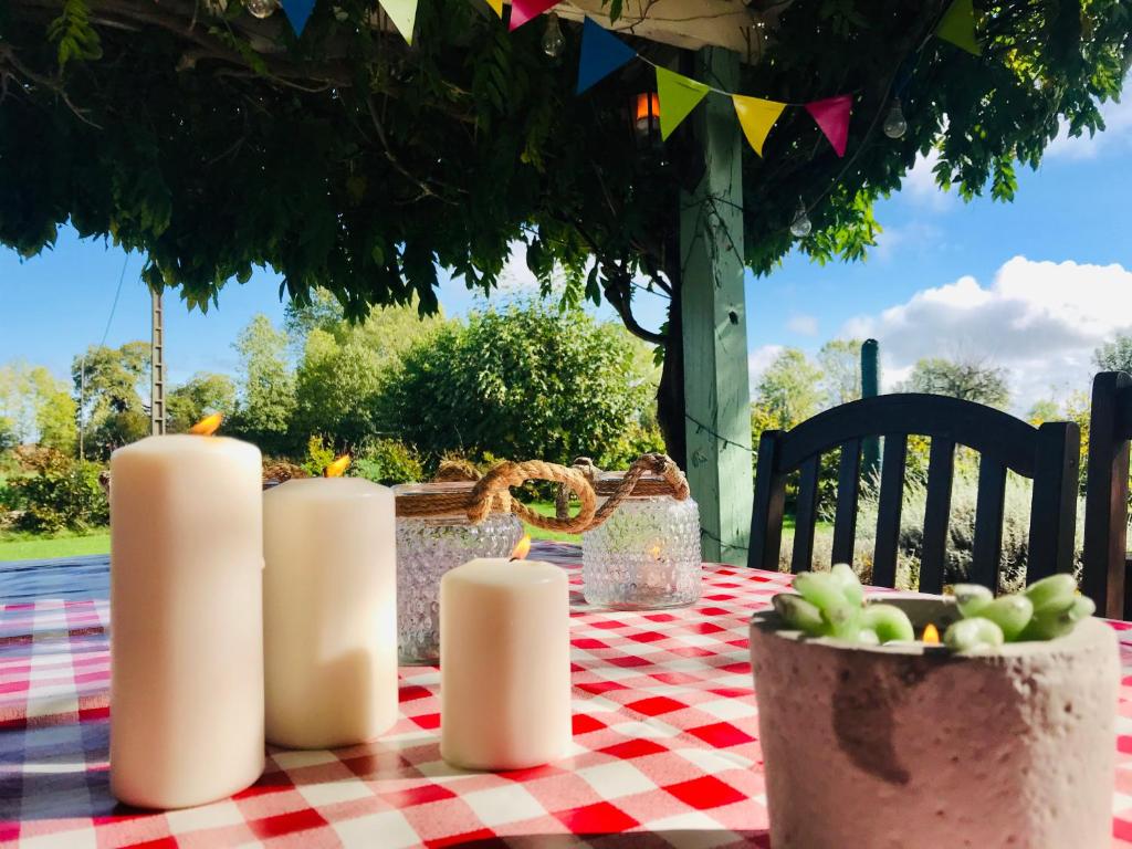 a table with candles and fruit on a checkered table cloth at La Blatière French Cottages in La Chapelle-Saint-Étienne