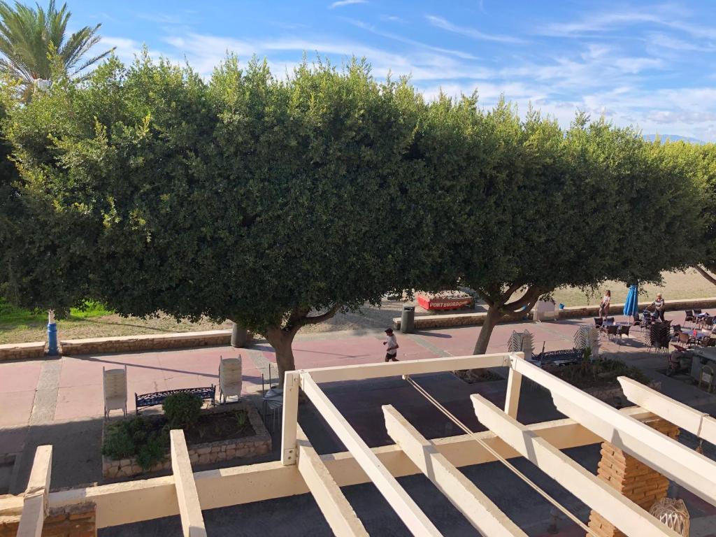 Aunt Antonia Beach House - 12