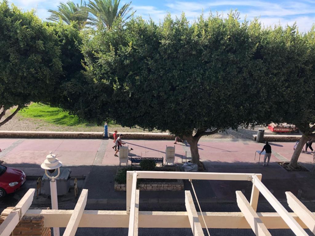 Aunt Antonia Beach House - 13