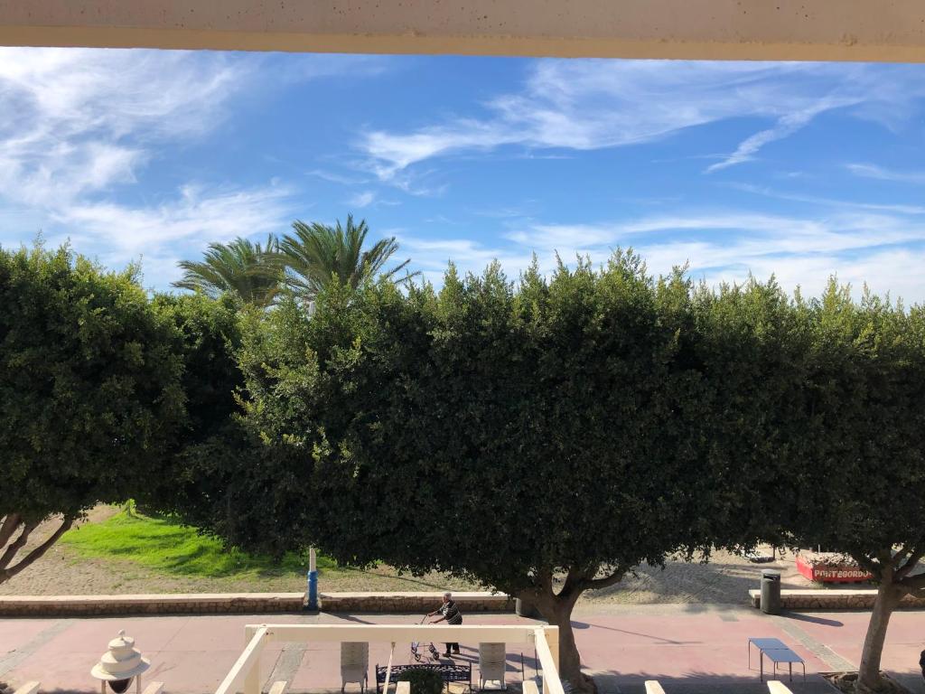 Aunt Antonia Beach House - 11