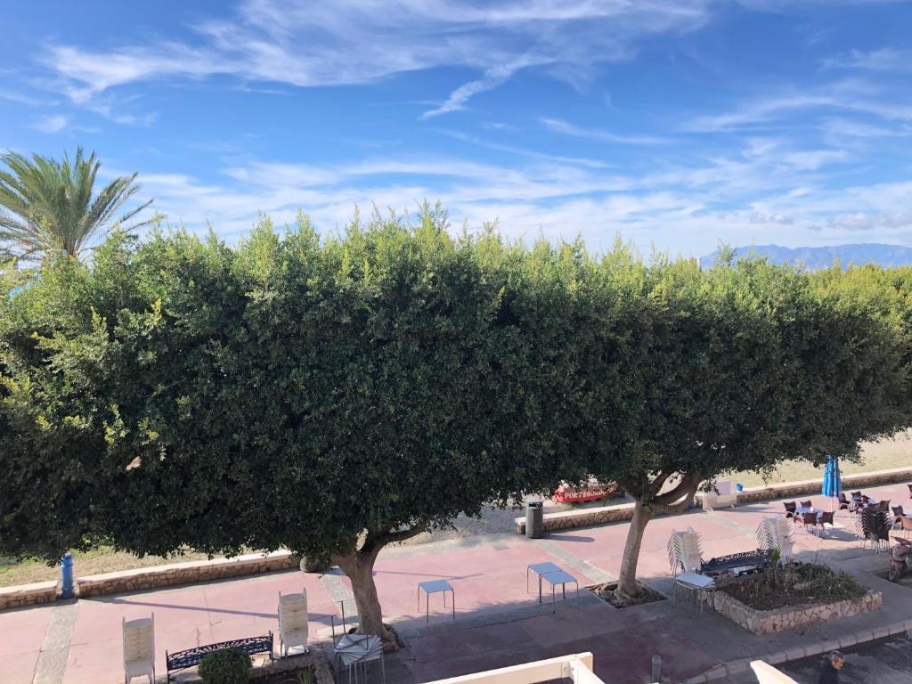 Aunt Antonia Beach House - 10