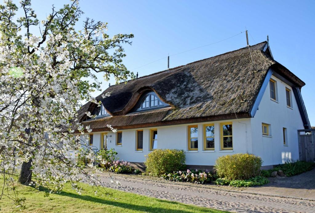 a white house with a thatched roof at Ferienwohnungen im Fischerdorf und in Neu Reddevitz