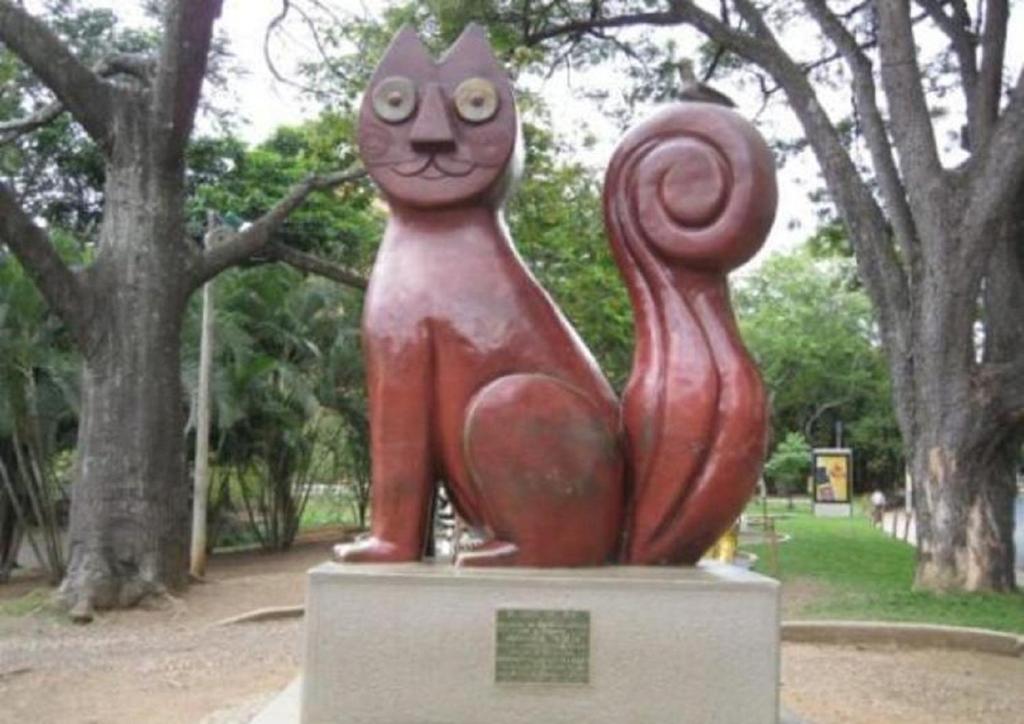 卡利内华达酒店的相册照片