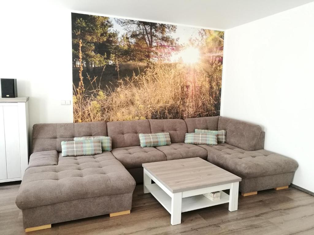 ein Wohnzimmer mit einem Sofa und einem Tisch in der Unterkunft Apartmán G4 Maty in Frymburk