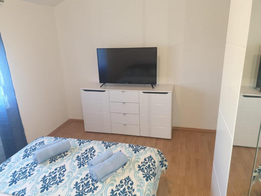 TV a/nebo společenská místnost v ubytování Apartmani Ivan