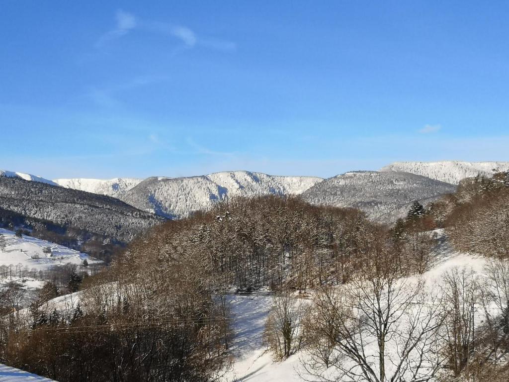 a snow covered mountain with trees and a river at Les Effraies in Hohrod