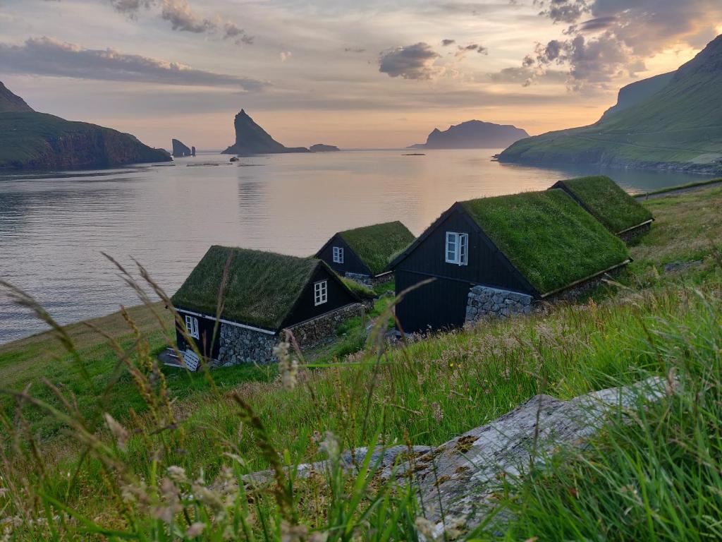 a group of houses with grass roofs next to a body of water at The View in Bøur