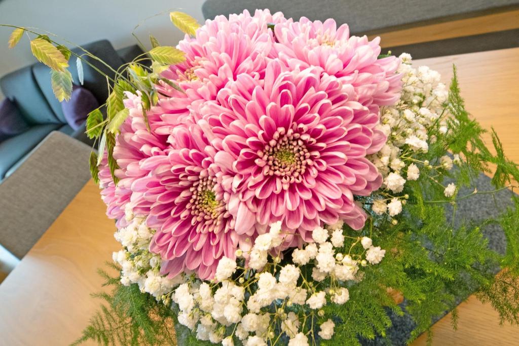 Apartments Ella - 10