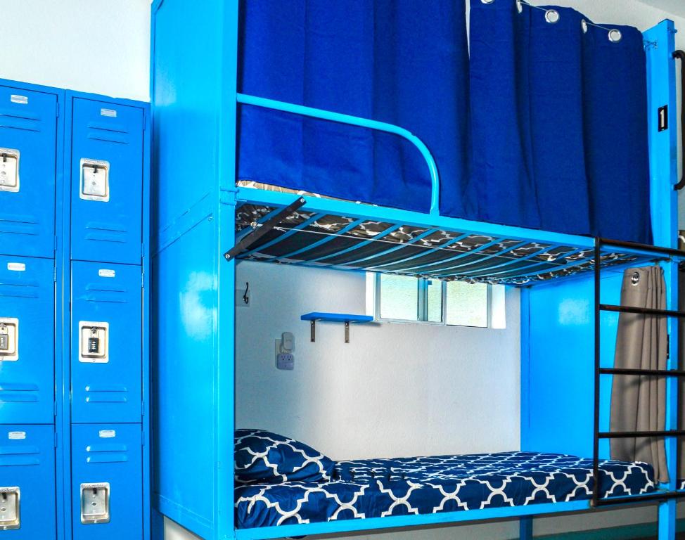 California Dreams Hostel - Pacific Beach - Cama En Habitación Mixta De 10 Camas