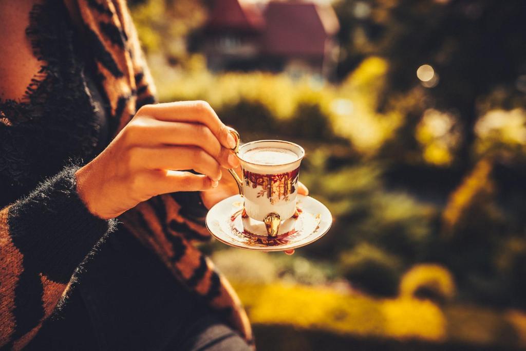 Willa Barbara - ProHarmonia