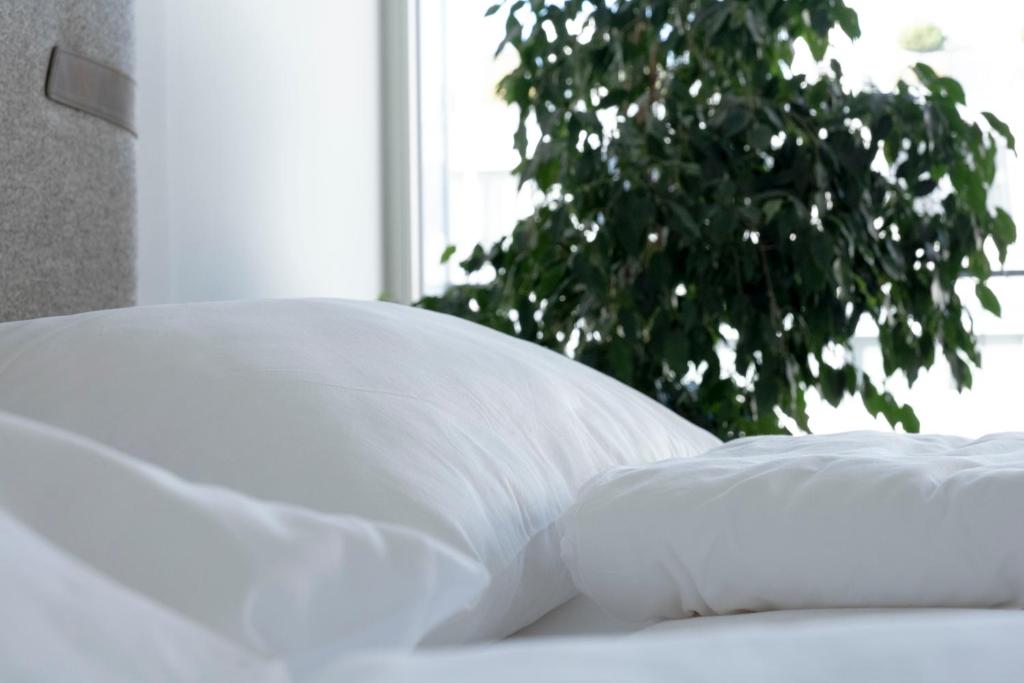 Moderne trifft Tradition im Herzen Wiens - 19