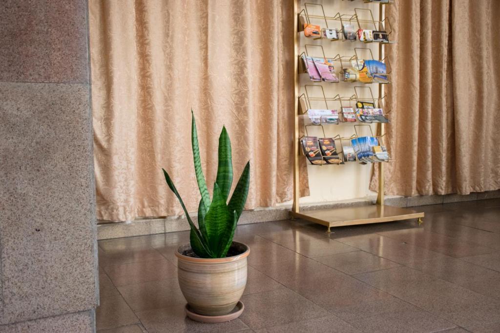 لابی و فضای عمومی Astana Hotel - تصویر ۵