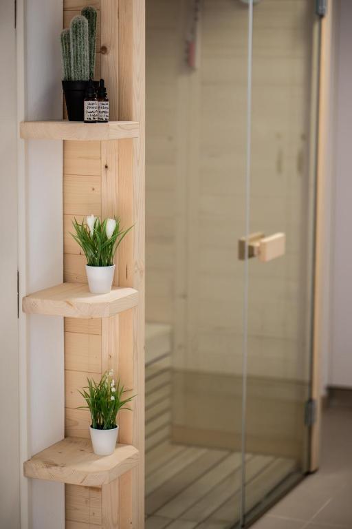 a shower stall with two potted plants on wooden shelves at Villa Almy in Plaka