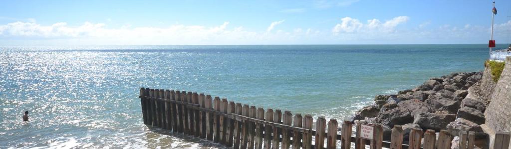 Sea Grove
