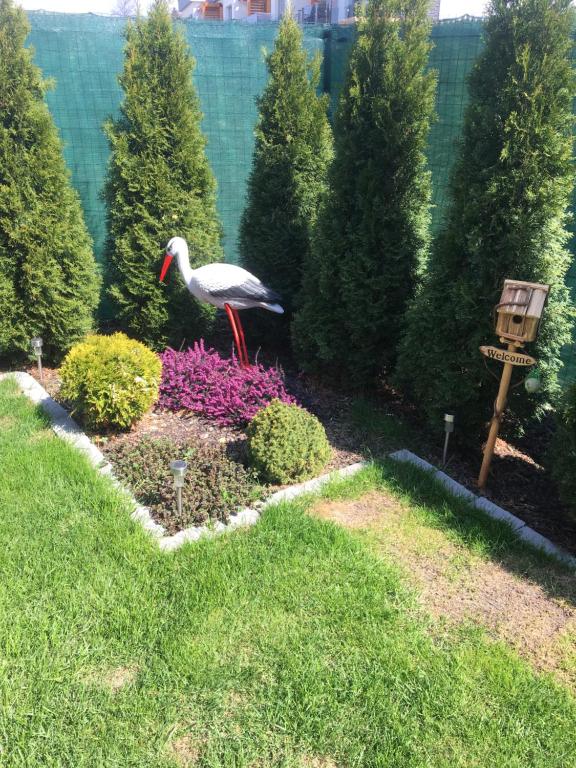 Zahrada ubytování Apartmán Tatry-Poprad