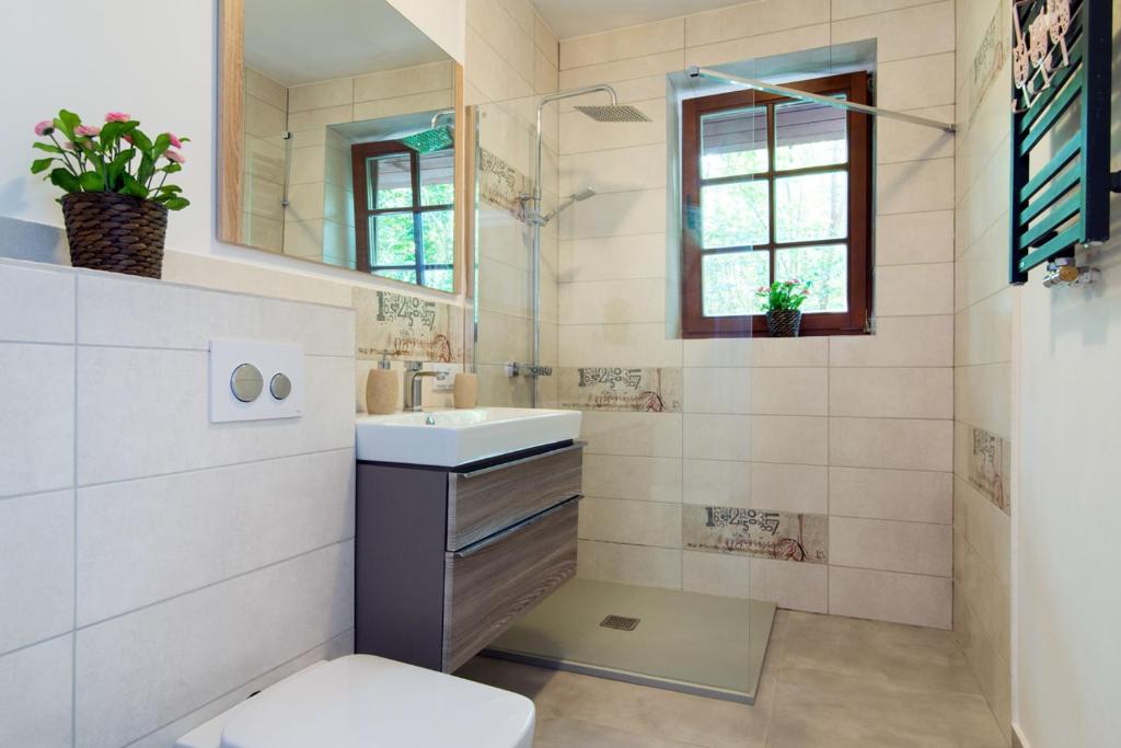 Apartamenty Fenix - Apartamento De Una Habitación