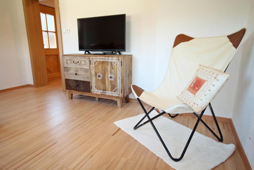 Televízia a/alebo spoločenská miestnosť v ubytovaní Appartement Ennst(h)aler by Schladming-Appartements