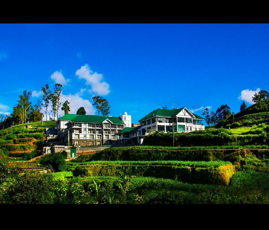 a large house on top of a grassy hill at The Blackpool Resort & Spa in Nuwara Eliya