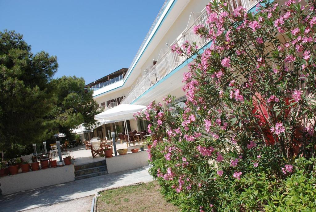 Zahrada ubytování Galini Hotel
