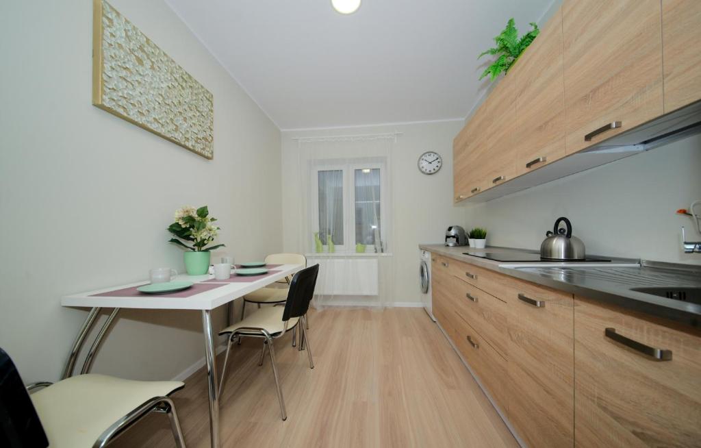 Kuchyňa alebo kuchynka v ubytovaní Apartament Kościuszko