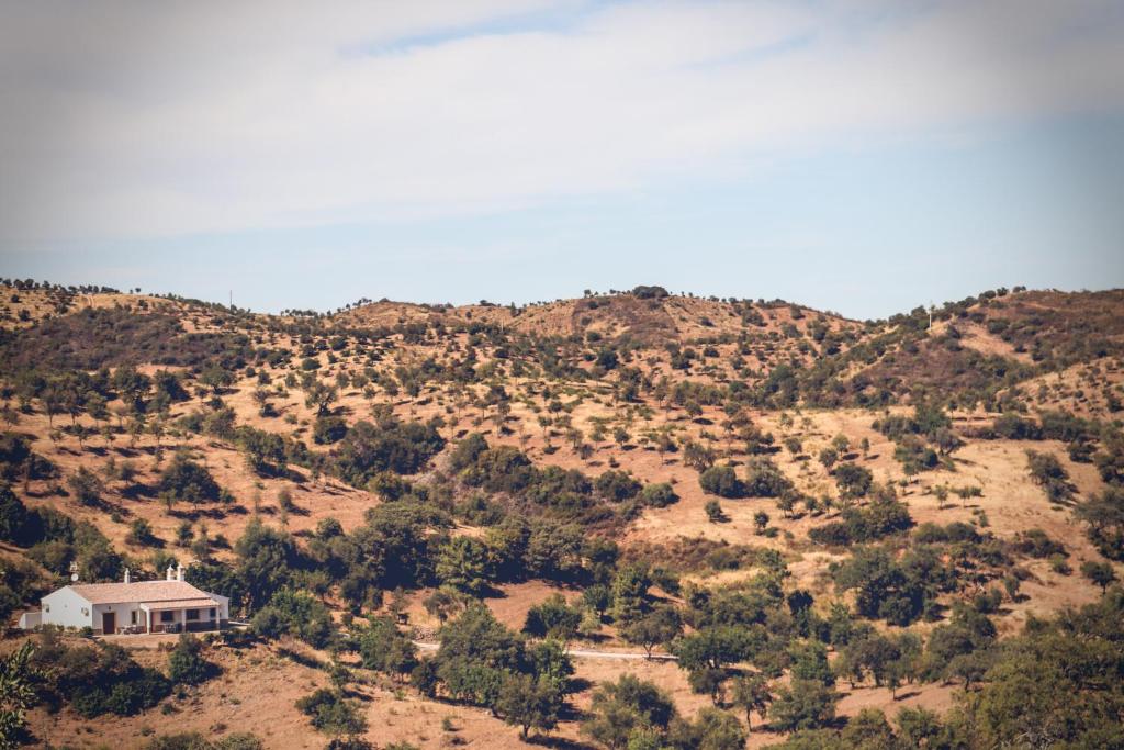 Herdade Da Corte - 14