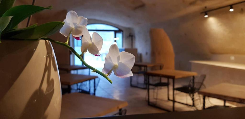 Część wypoczynkowa w obiekcie Residence Masseria Santa Lucia