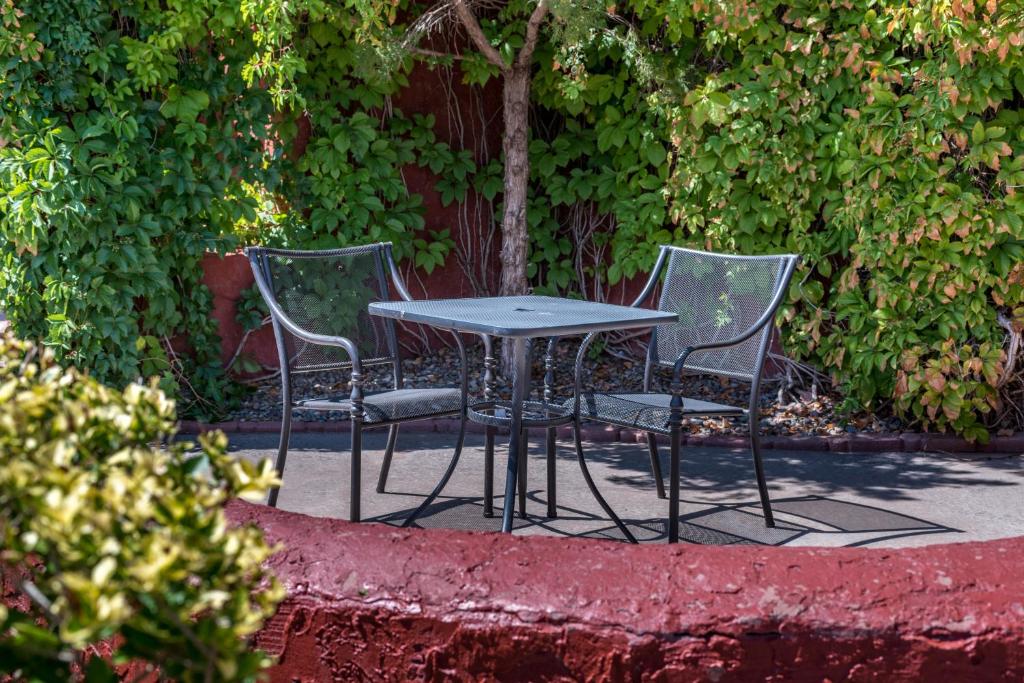 Ein Garten an der Unterkunft Thunderbird Lodge