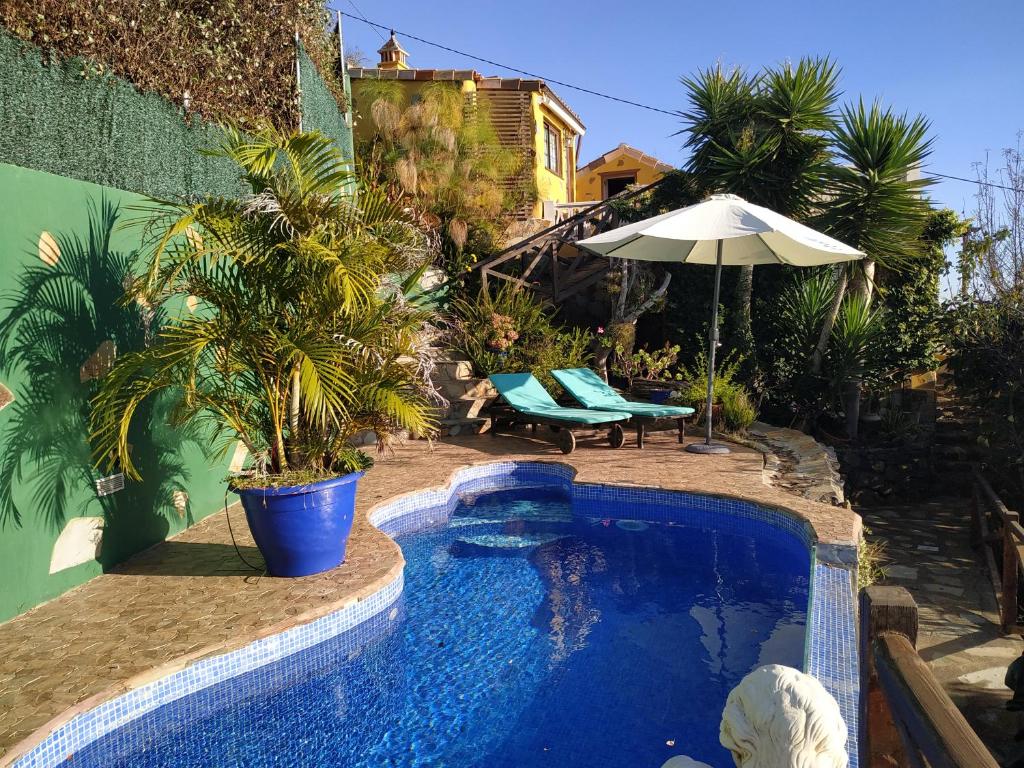 a pool with a palm tree and an umbrella at Casa Tata in Tijarafe
