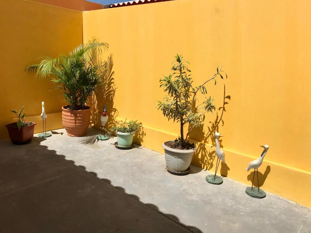 Casa de Sufia