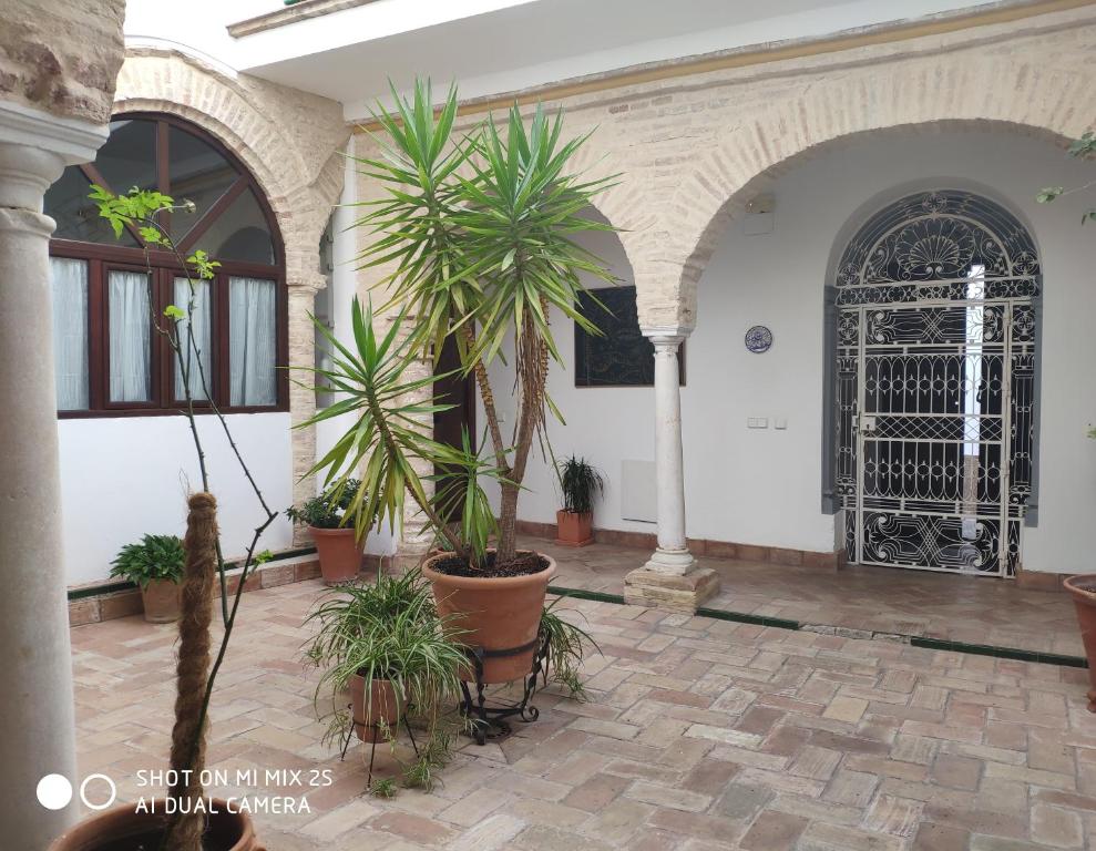 un patio con macetas y una puerta en Casa en la Juderia en Carmona