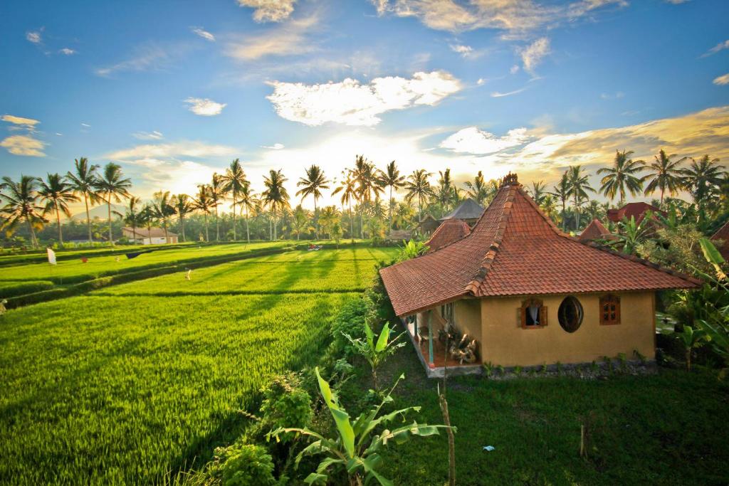 a small house in a green field with palm trees at Dragonfly Village in Ubud