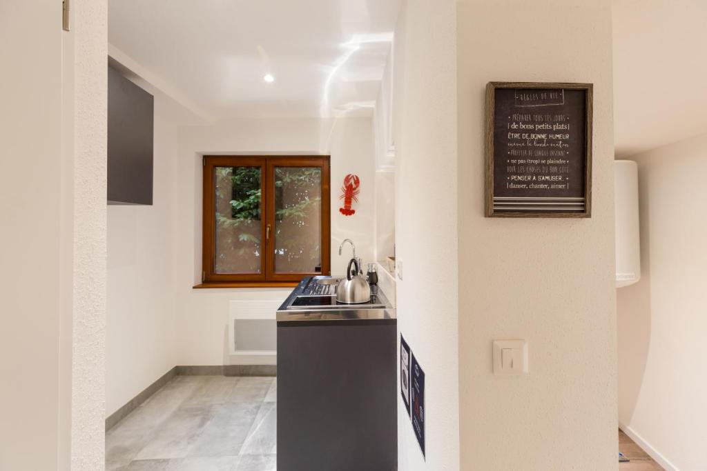 Kuchyň nebo kuchyňský kout v ubytování Travel Homes - L'Arsenal, studios en hyper centre